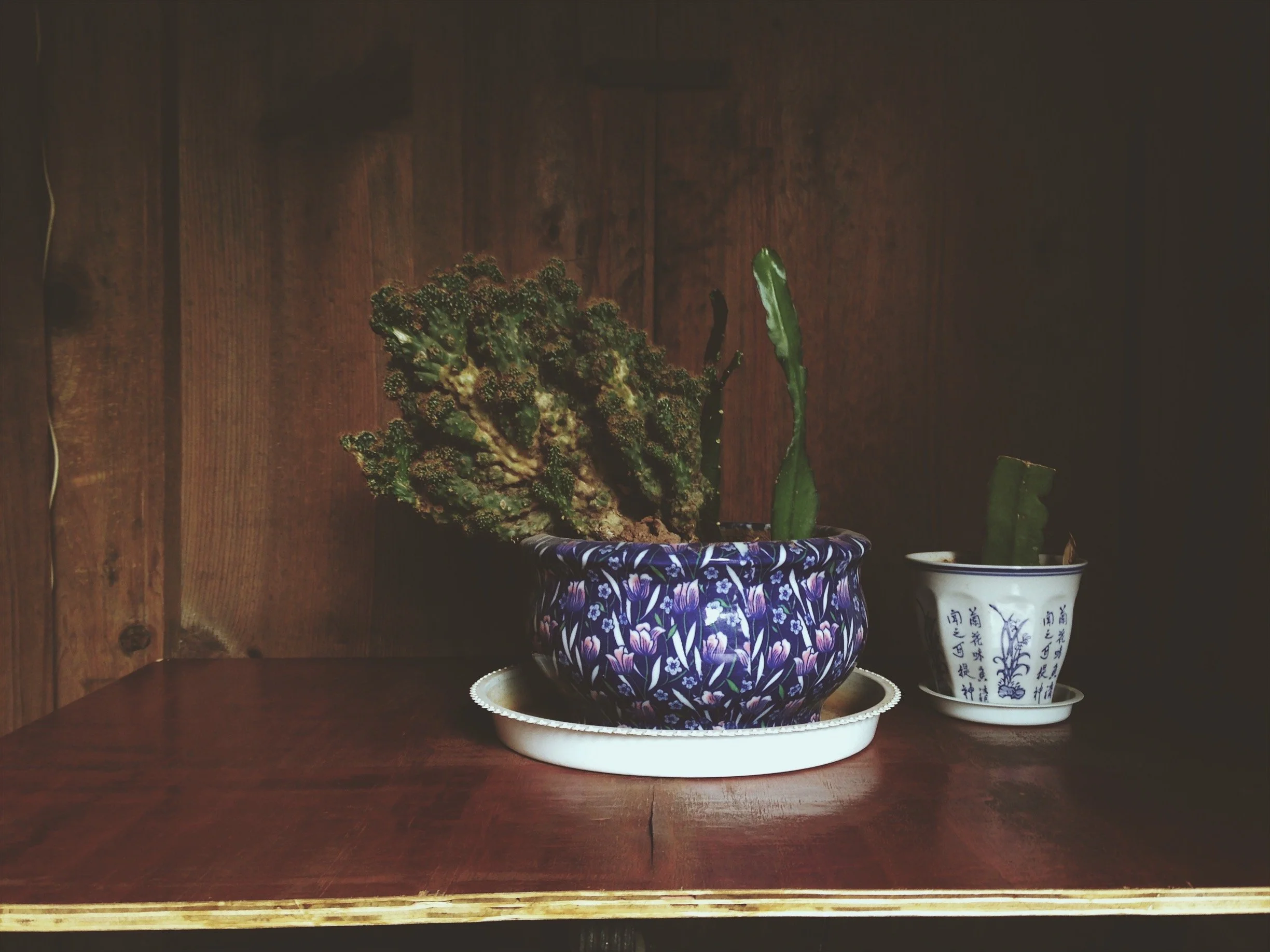 Blue ceramic bowl of herbs beside a teacup