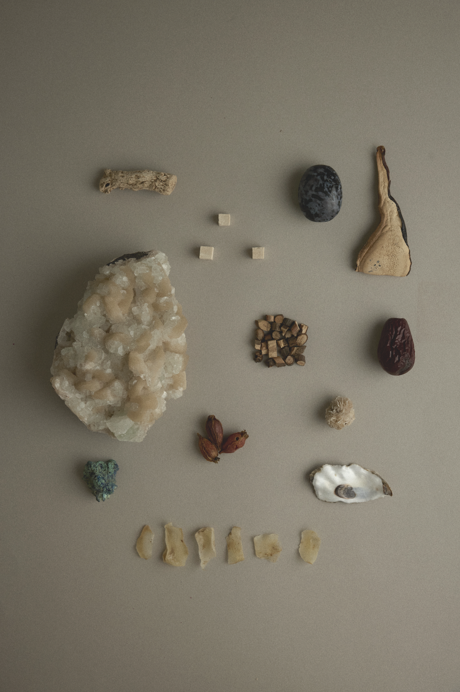 Stones and natural materials arranged for a Chinese medicine still life